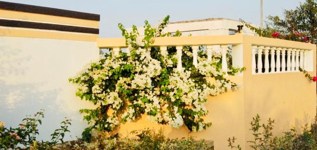 Royal Meadows - Igatpuri Bungalow B Eksteriør bilde